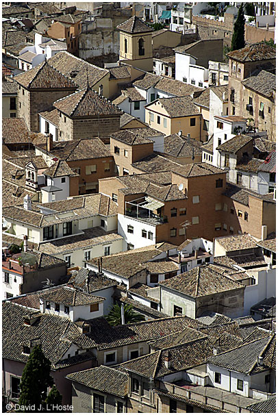 Rooftops in Granada, Spain