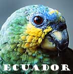 ECUADOR 2001