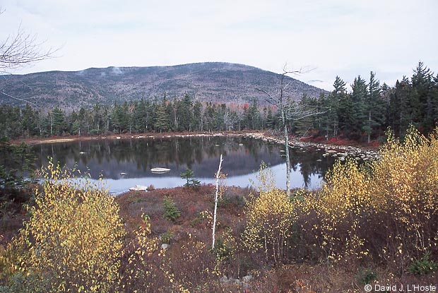 Lilly Pond, Kancamagus Highway, N.H. - by David J. L'Hoste]