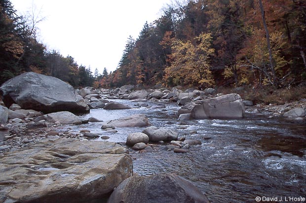 Pemigewasset River, New Hampshire - by David J. L'Hoste