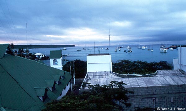 ECUADOR 2001 -- Puerto Ayora from atop Hotel Castro -- by David J. L'Hoste