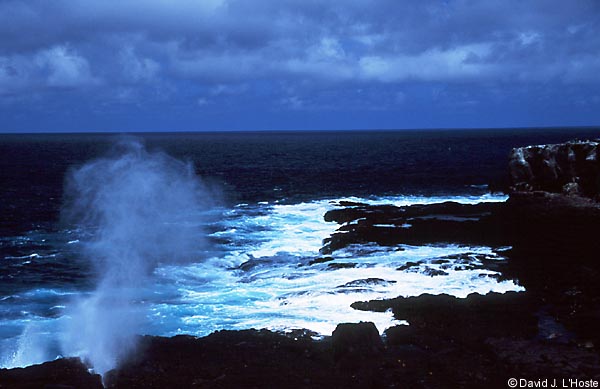 Espanola Island shore