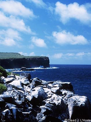 ECUADOR 2001 -- Espanola Island shore -- by David J. L'Hoste