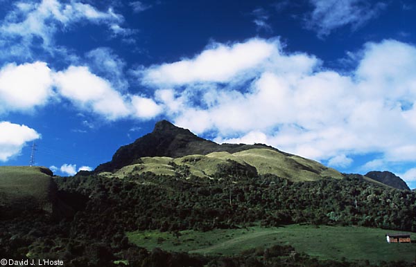 ECUADOR 2001 -- Near Papallacta --  by David J. L'Hoste