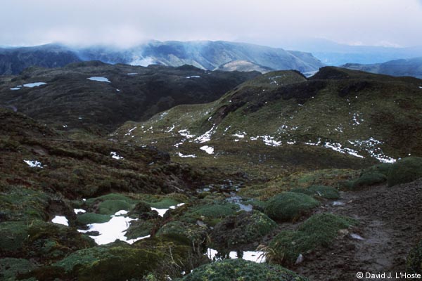 ECUADOR 2001 -- June on the Equator (at 14,000 feet) --  by David J. L'Hoste