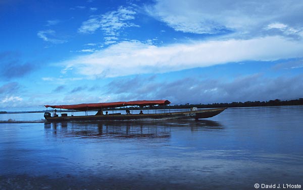 ECUADOR 2001 -- On the Napo River --  by David J. L'Hoste