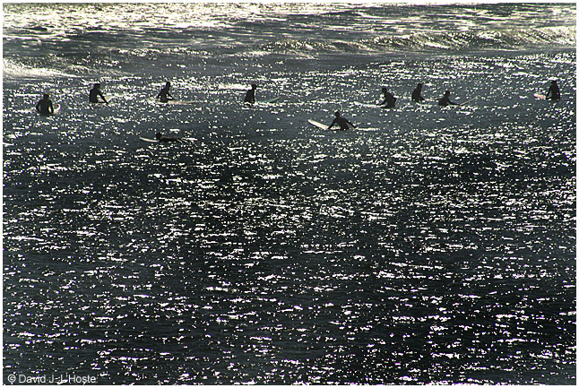 Waiting On A Good Set - Ericeira, Portugal - 2003 HEIGHT=