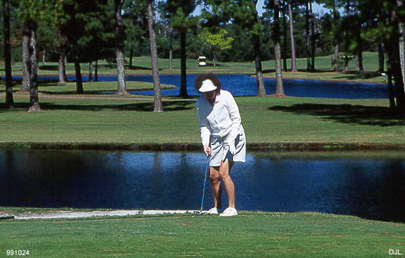 Karen, post-chip. 24 October 1999, Destin, FL, by David J. L'Hoste
