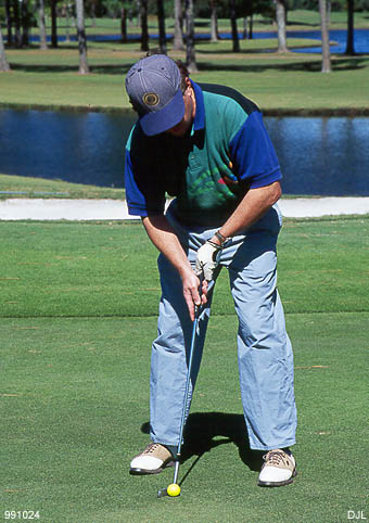 Shark eyeing  yellow ball. Destin, FL, 24 October 1999, by David J. L'Hoste.