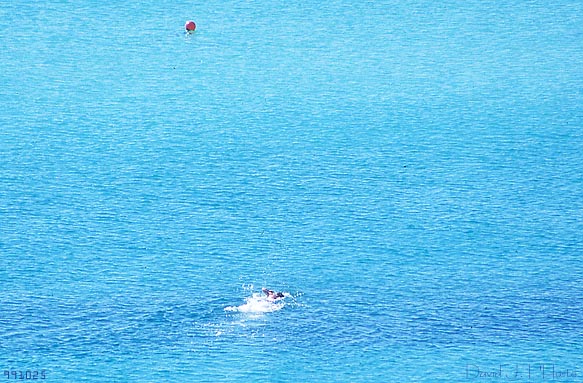 Southbound. 25 October 1999, Destin, FL, by David J. L'Hoste