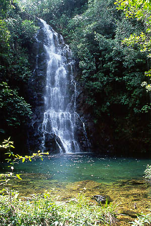 Butterfly Falls, Mountain Pine Region - by David J. L'Hoste