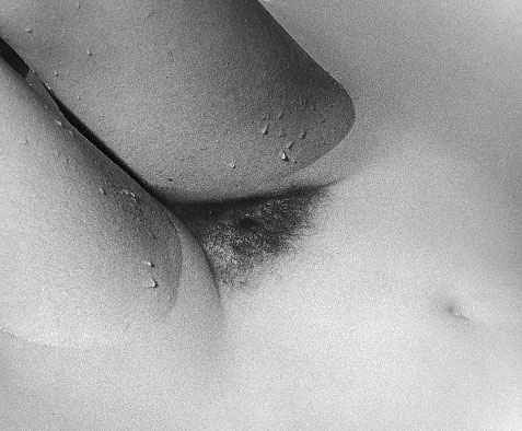 Bathwater, 1978 - by David J. L'Hoste