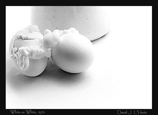 Eggs and Coffee Pot, 1975 - by David J. L'Hoste