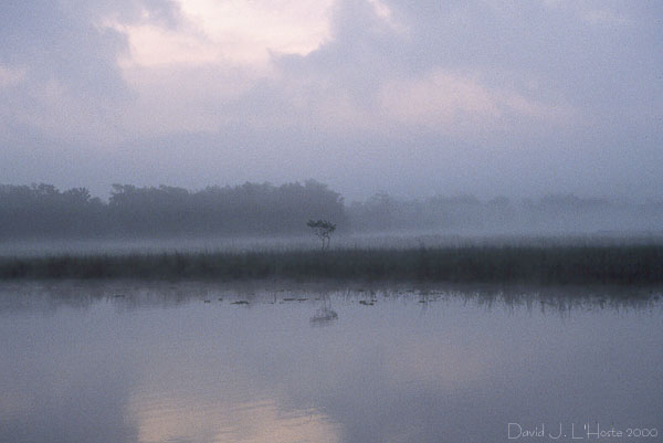 Bayou Segnette Dawn 2000 - by David J. L'Hoste