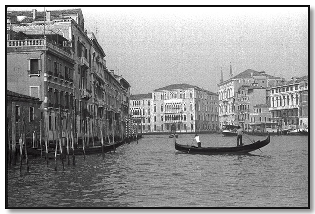 Venice 1976