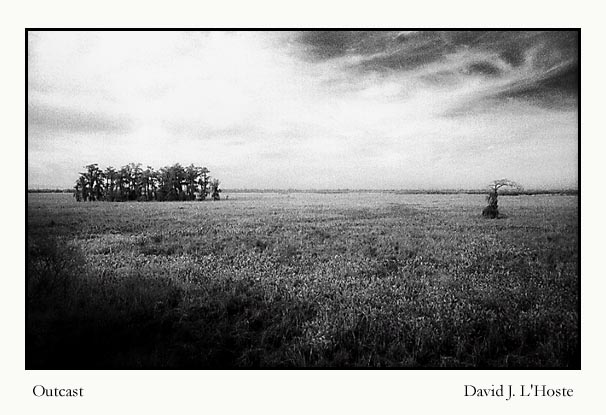 Outcast  by David J. L'Hoste